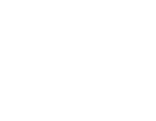 Ducks Unlimited Logo