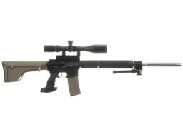 Palmetto State Armory PA-15 Semi-Automatic Rifle with Scope