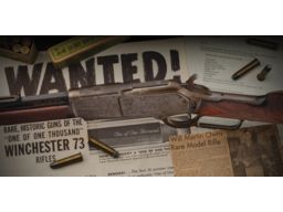 Winchester 