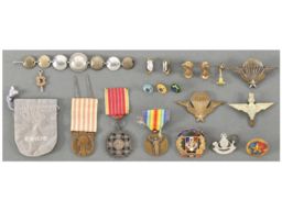 Group of Foreign Military Pins and Medals