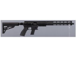 TNW Inc. ASR Semi-Automatic Rifle