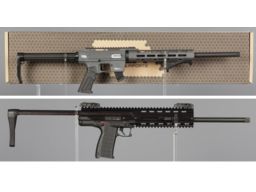 Two Semi-Automatic Rimfire Rifles