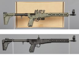 Two Kel-Tec Sub-2000 Semi-Automatic Rifles