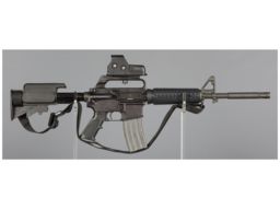 Bushmaster Model XM15-E2S Semi-Automatic Rifle with EOTech Sight