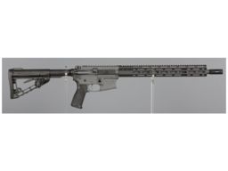Wilson Combat Protector Semi-Automatic Rifle