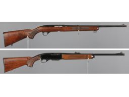 Two Semi-Automatic Rifles