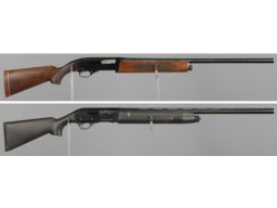 Two Semi-Automatic Shotguns