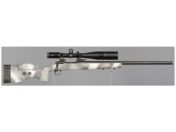 Savage Arms Model 10 Bolt Action Rifle with Scope