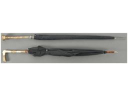 Two Umbrellas