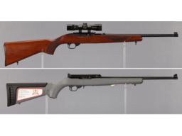 Two Ruger 10/22 Semi-Automatic Rifles