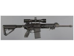 SIG Sauer SIG716 Semi-Automatic Rifle with Scope