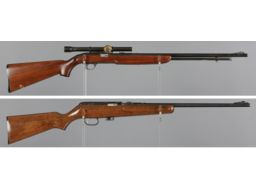 Two Semi-Automatic Rimfire Rifles