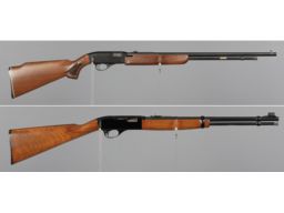 Two .22 Caliber Rifles