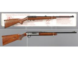 Two Semi-Automatic Rimfire Rifles
