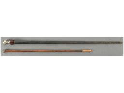 Grouping of Two Walking Sticks