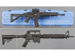Two Semi-Automatic Rimfire Rifles