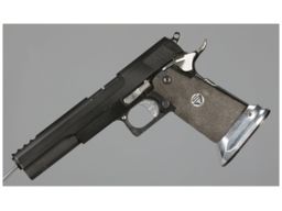 Strayer Voigt Infinity Semi-Automatic Pistol | Rock Island Auction