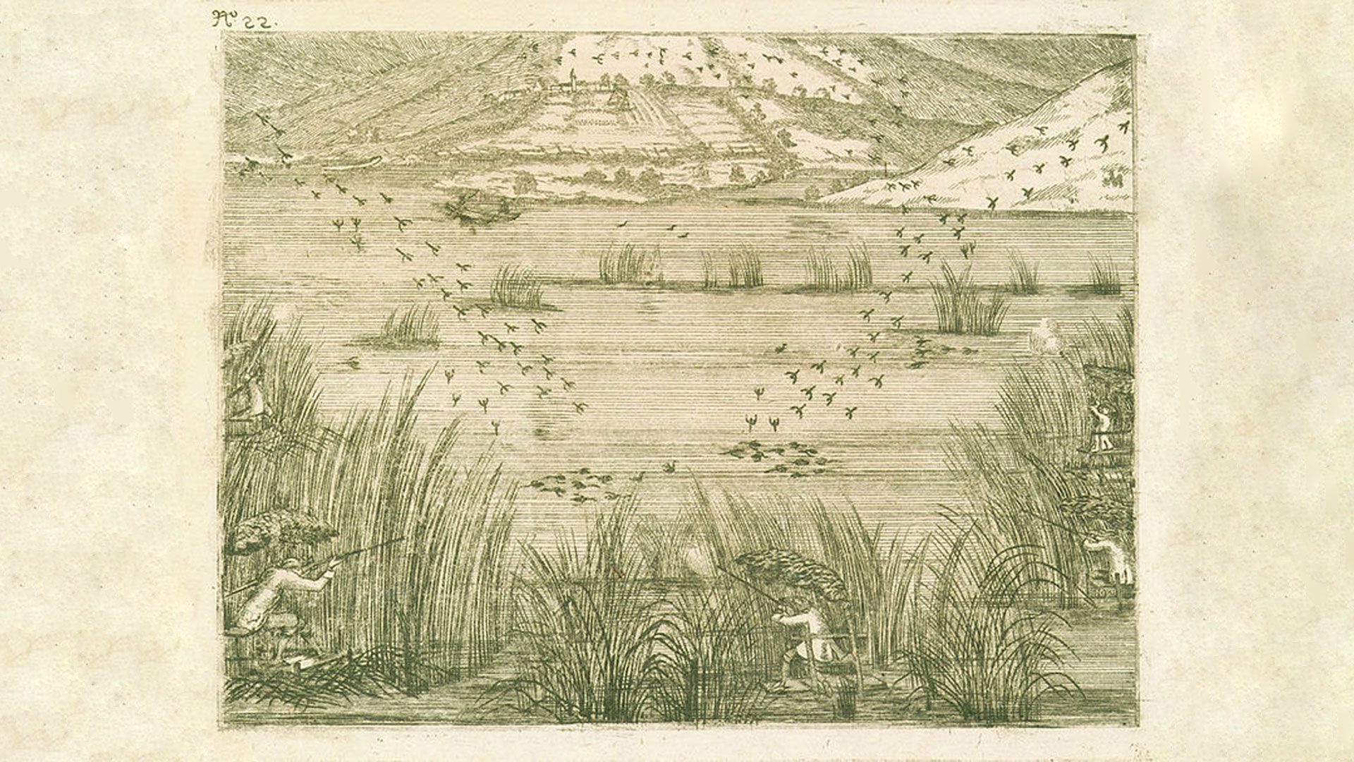 old-sketch-of-hunting-ducks