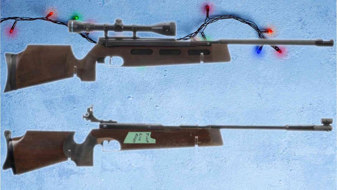 two German air rifles