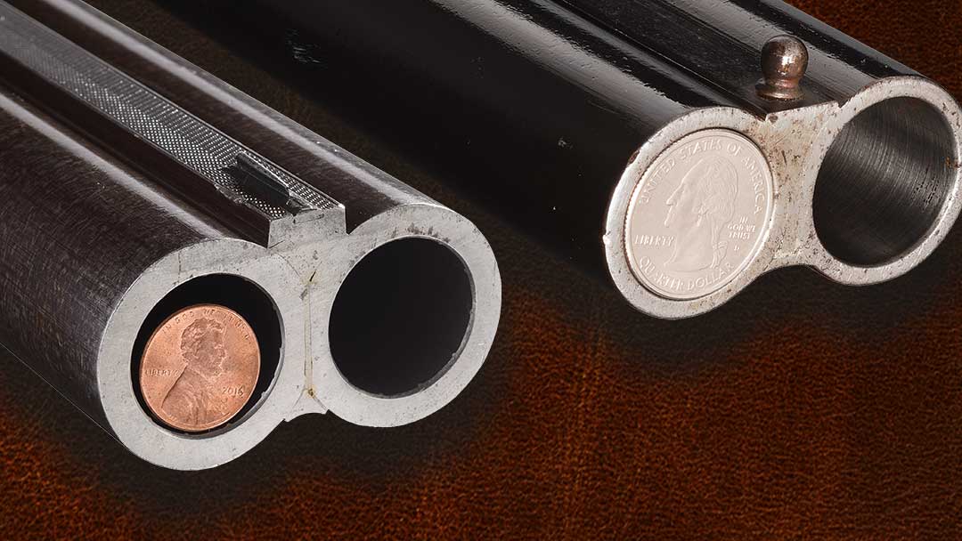 4-bore-rifle-and-4-bore-punt-gun