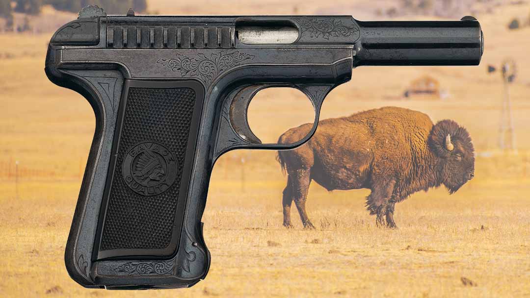 savage arms pistols