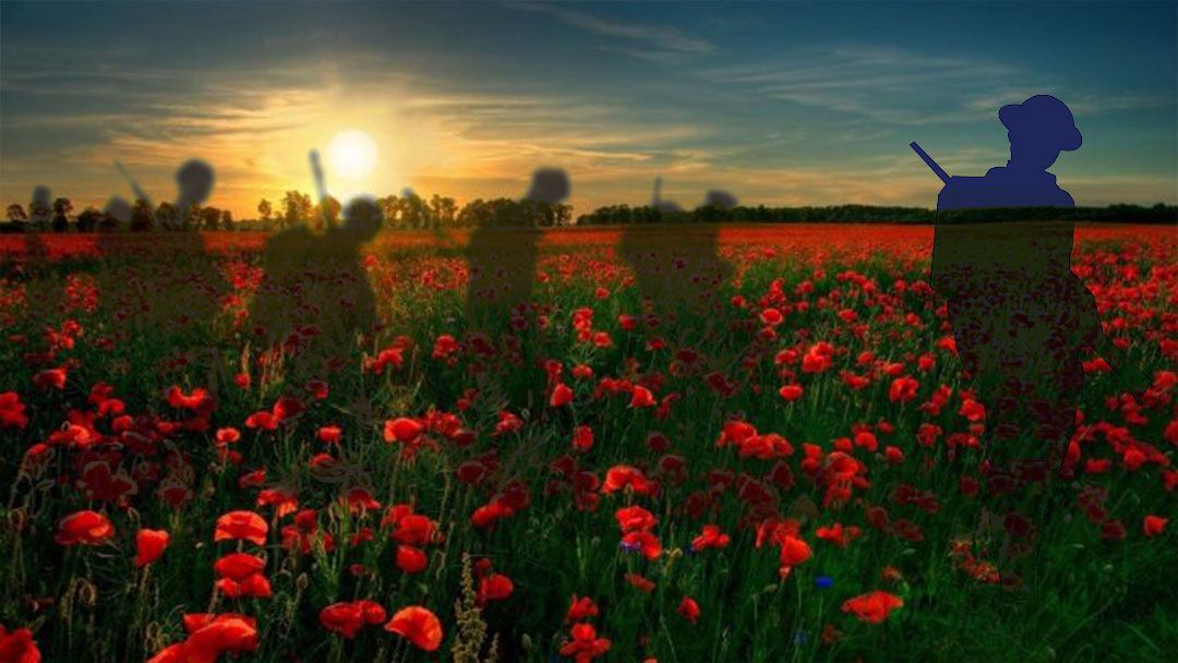 the-The-Red-poppy-became-synonymous-with-Memorial-Day-after-WW1