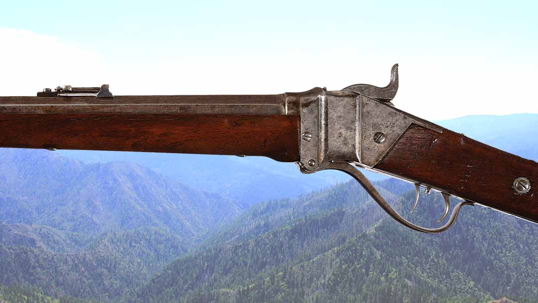 Sharps-1874-single-shot-rifle-L1072