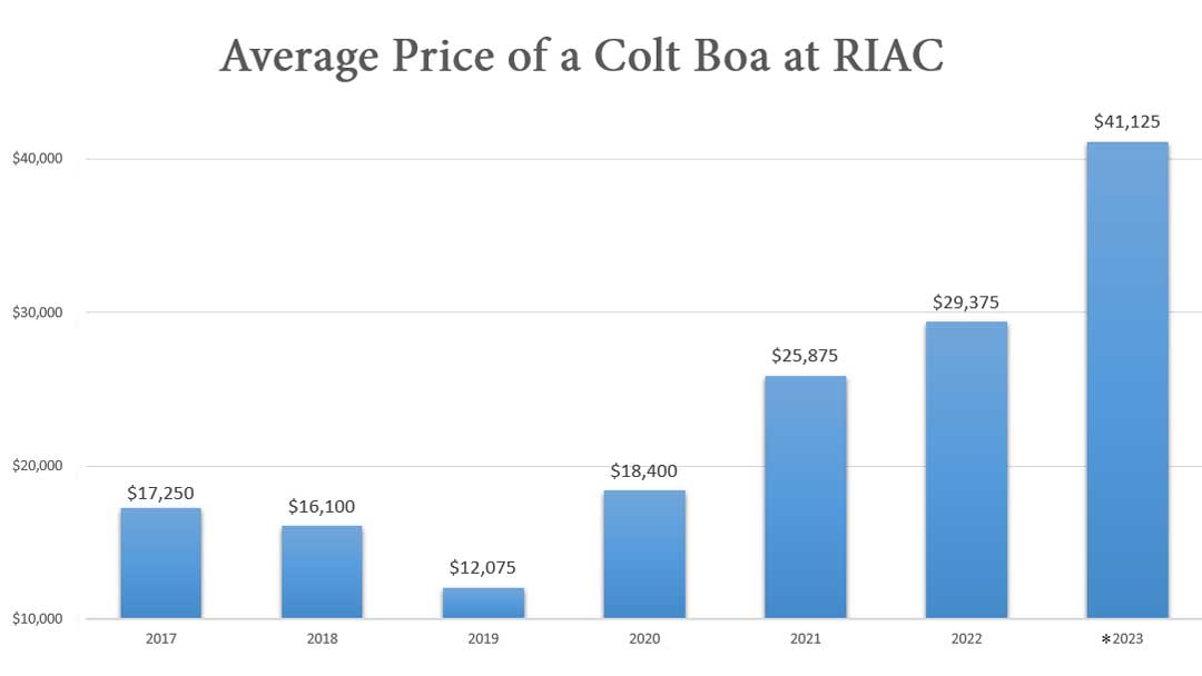 Average-Price-of-a-Colt-Boa-revolver-at-Rock-Island-Auction-Company-1