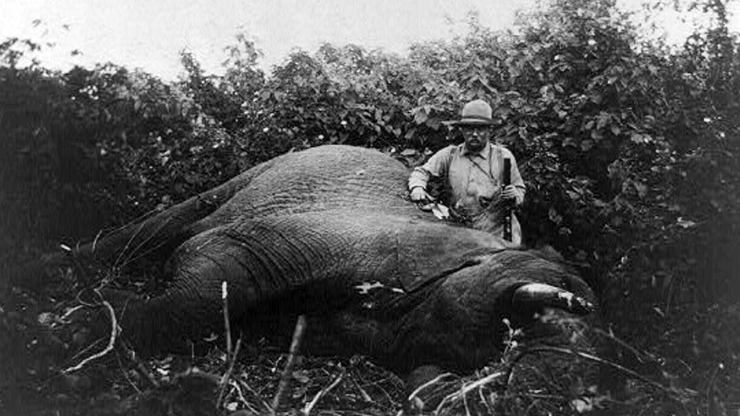 Col-Roosevelt-and-a-bull-elephant-shot-at-Meru