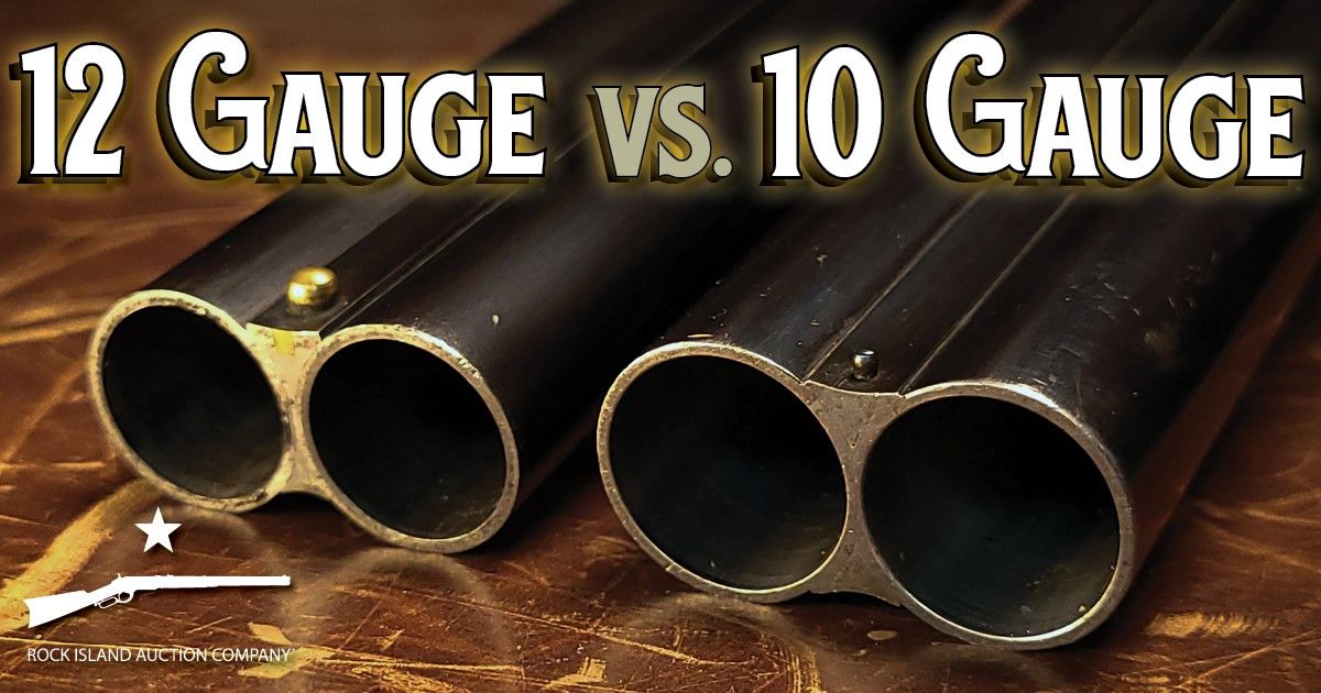 10 Gauge vs 12 Gauge: Which Bore is Better?