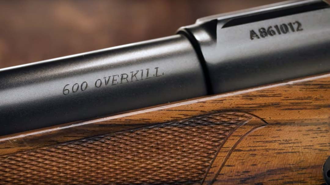 american-hunting-riflecz-550-rifle-in-600-overkill