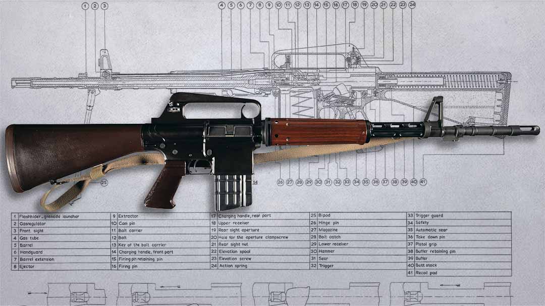 AR10