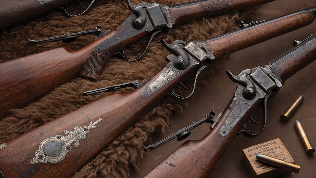 Buffalo-guns-for-sale