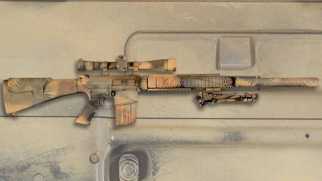 SR25