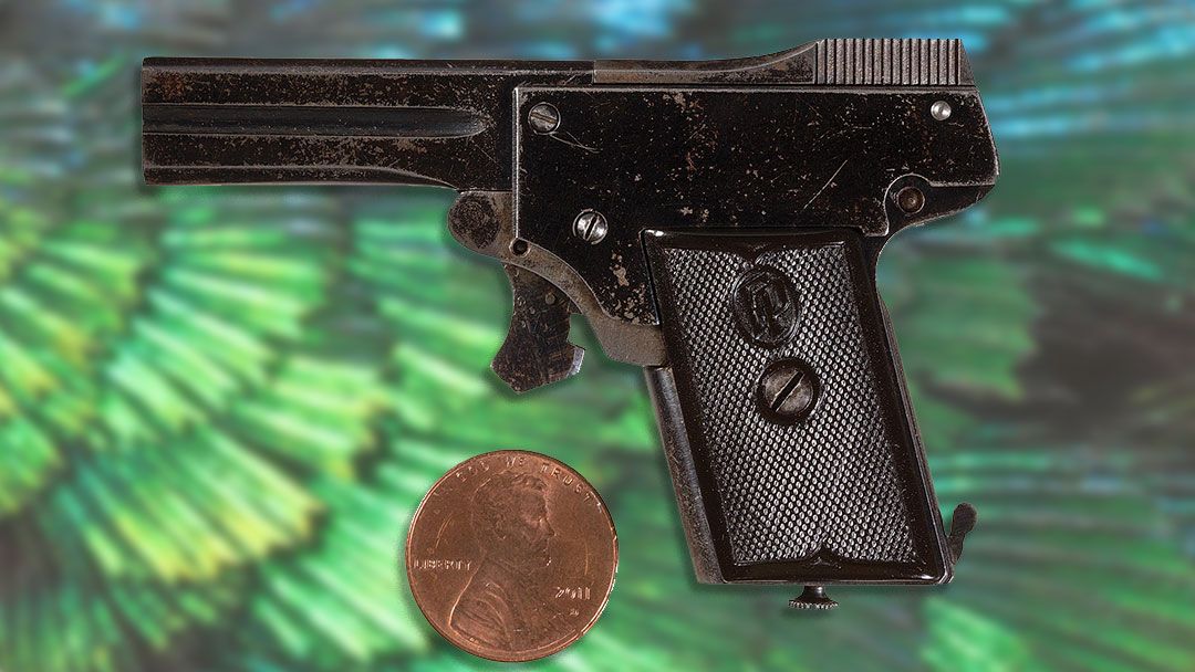 Kolibri-au-69-lot-1515-v2