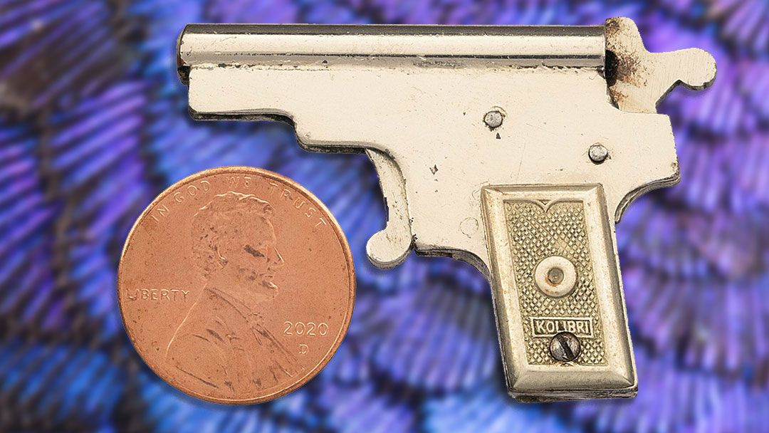 Kolibri-au-86-lot-1565-2-v2