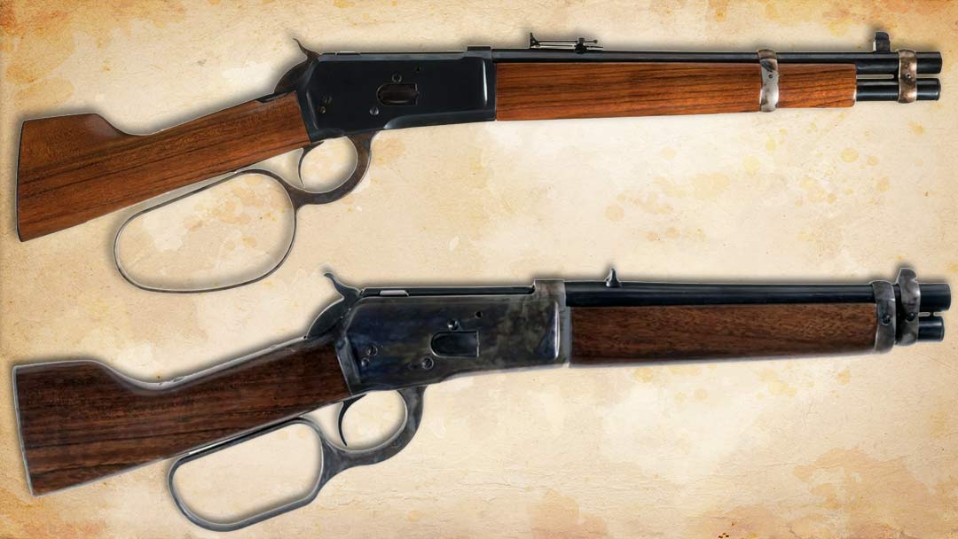 two-mares-legs-for-sale