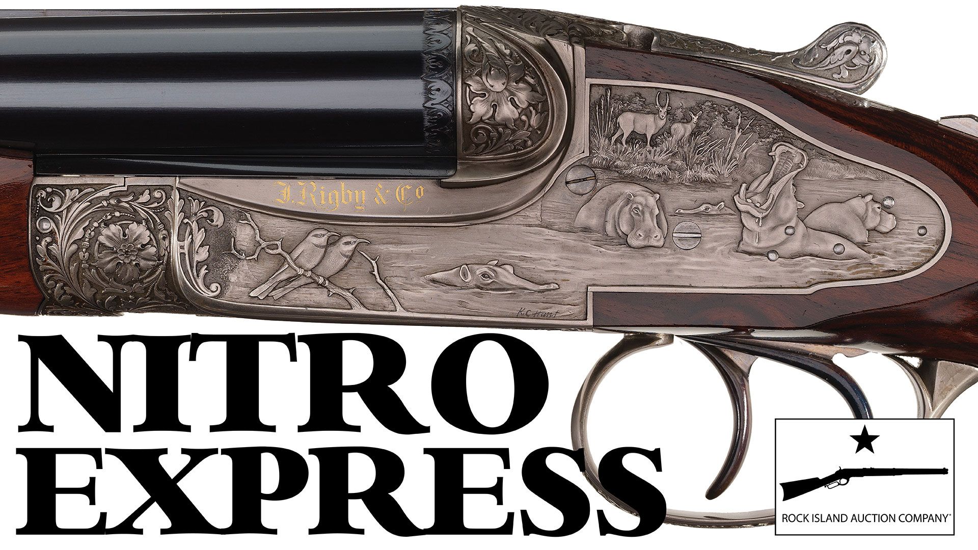 アート・デザイン・音楽 GunBlue NITRO EXPRESS Nitro Express | Rock Island Auction